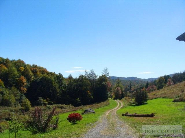 Image number 4 for the current listing