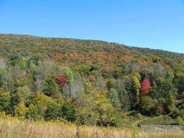 Image number 6 for the current listing