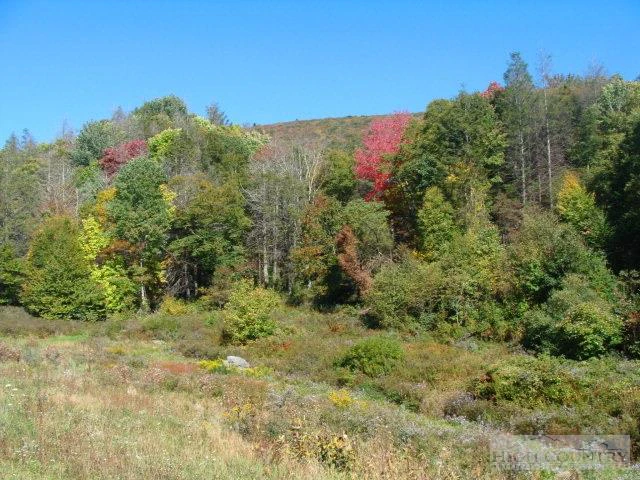 Image number 9 for the current listing