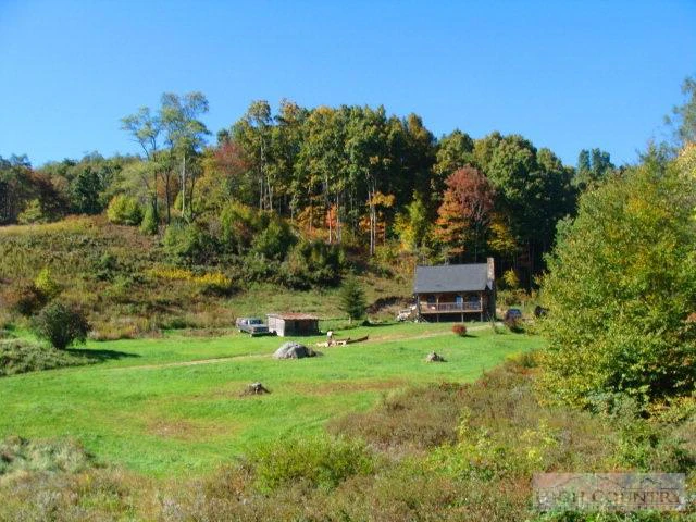 Image number 13 for the current listing