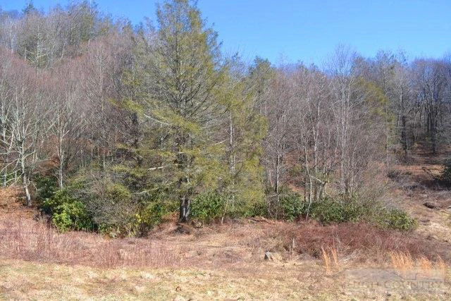 Image number 14 for the current listing