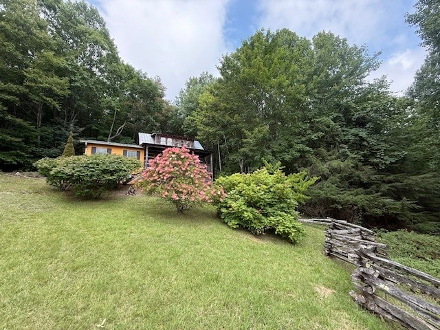 Image number 2 for the current listing