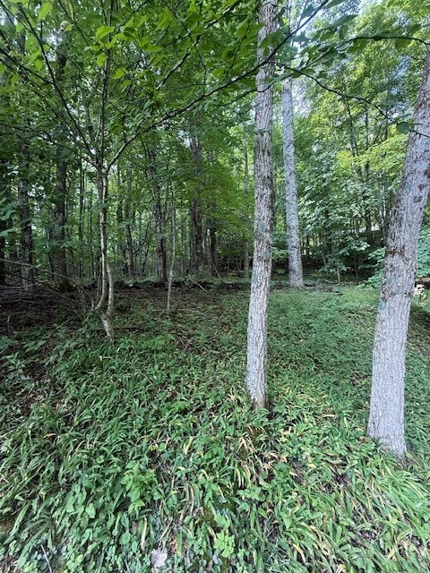 Image number 20 for the current listing