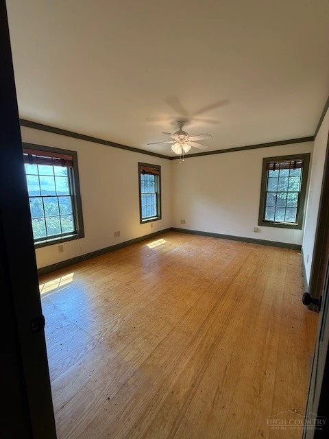 Image number 9 for the current listing