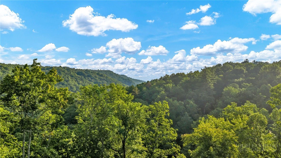 Image number 18 for the current listing