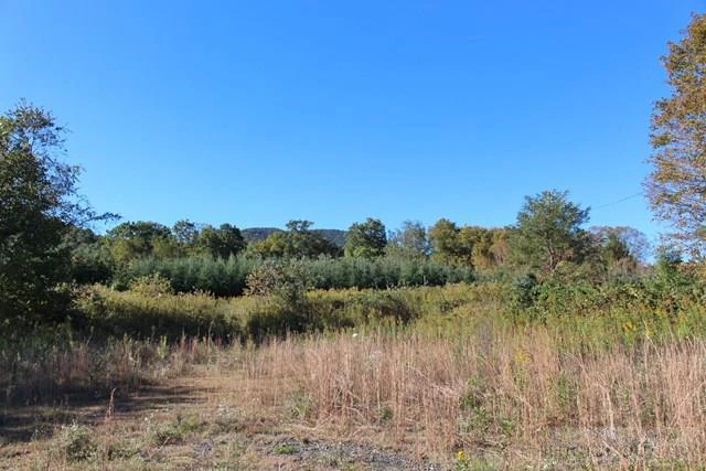 Image number 3 for the current listing