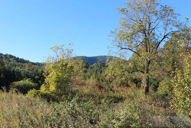 Image number 5 for the current listing