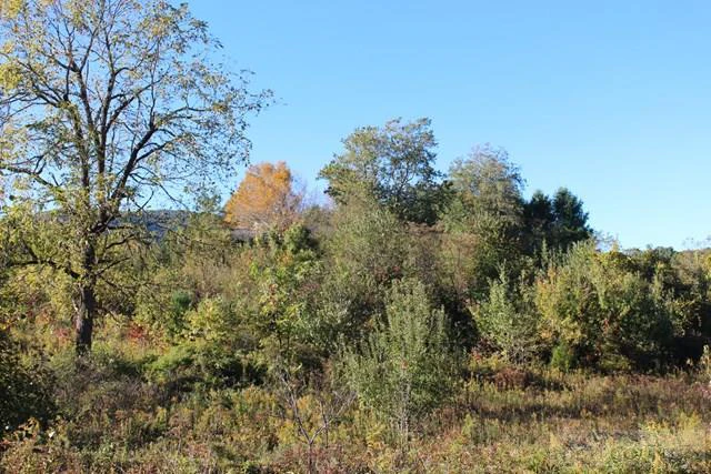 Image number 6 for the current listing