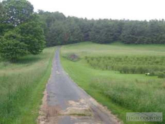 Image number 18 for the current listing