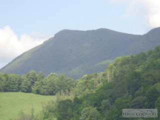 Image number 16 for the current listing