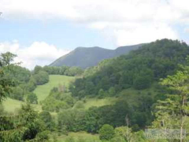 Image number 15 for the current listing