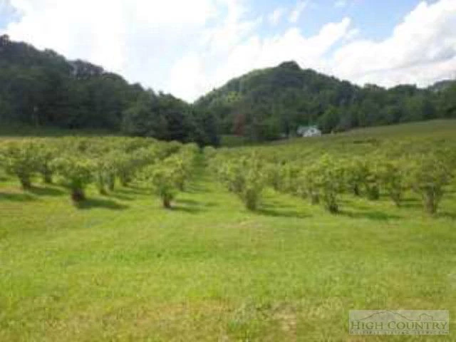 Image number 14 for the current listing