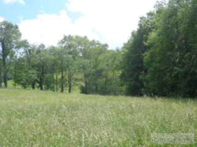 Image number 11 for the current listing