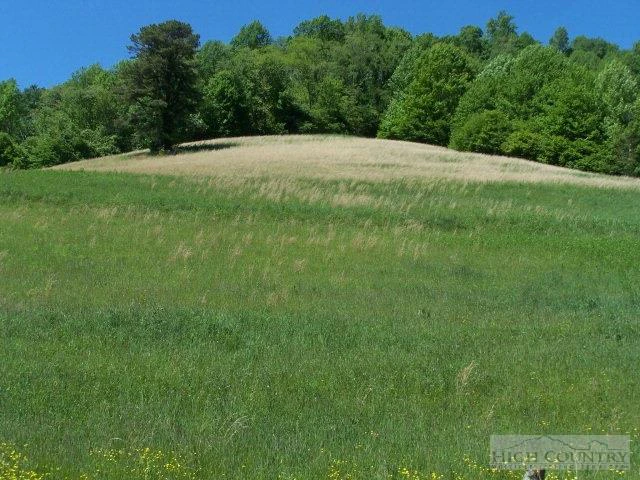 Image number 1 for the current listing