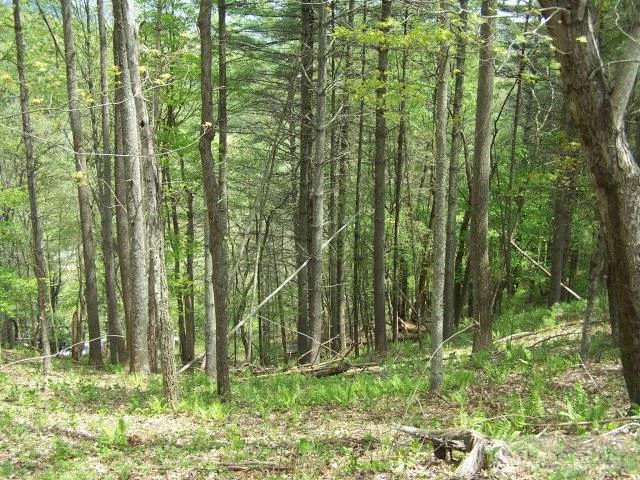 Image number 3 for the current listing