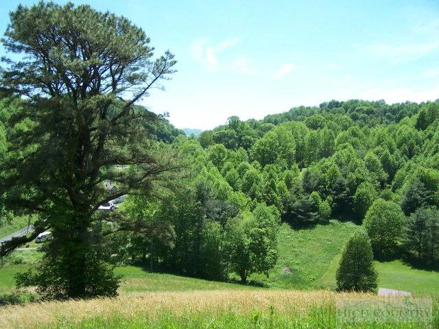 Image number 7 for the current listing