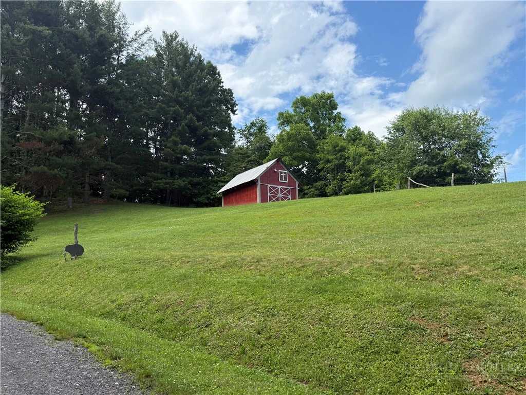 Image number 5 for the current listing