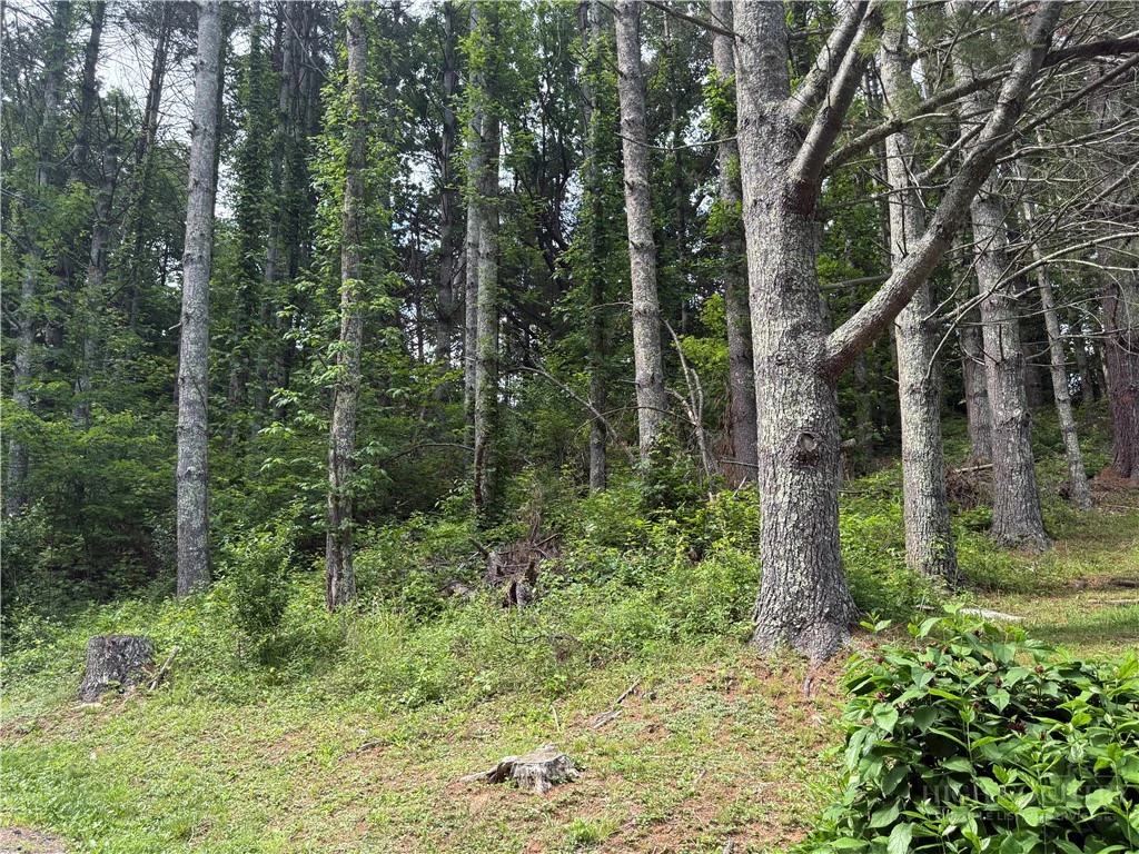 Image number 2 for the current listing