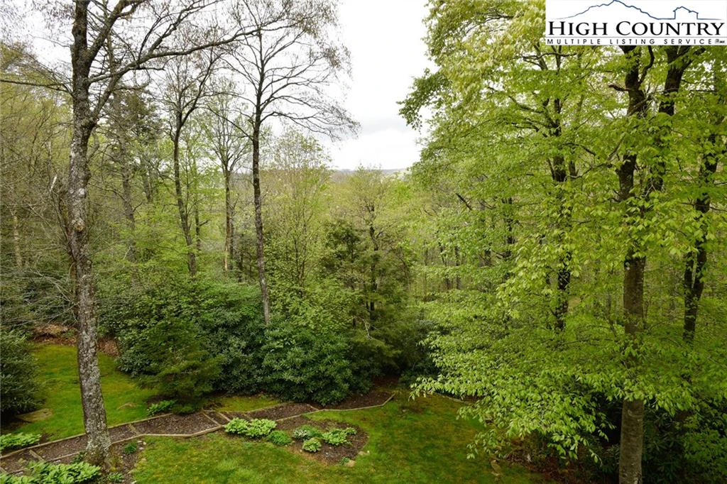 Image number 4 for the current listing
