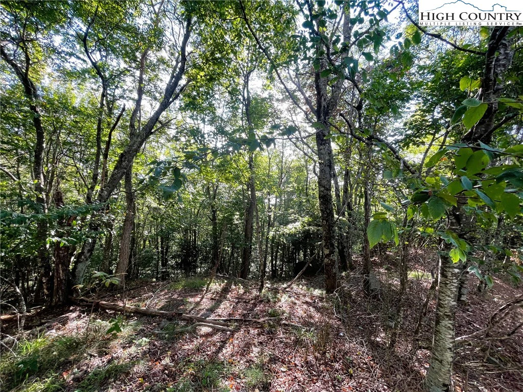 Image number 3 for the current listing