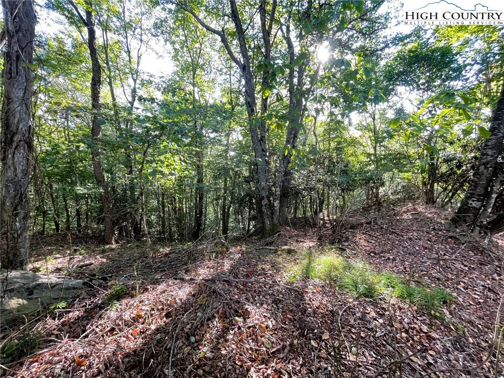 Image number 5 for the current listing