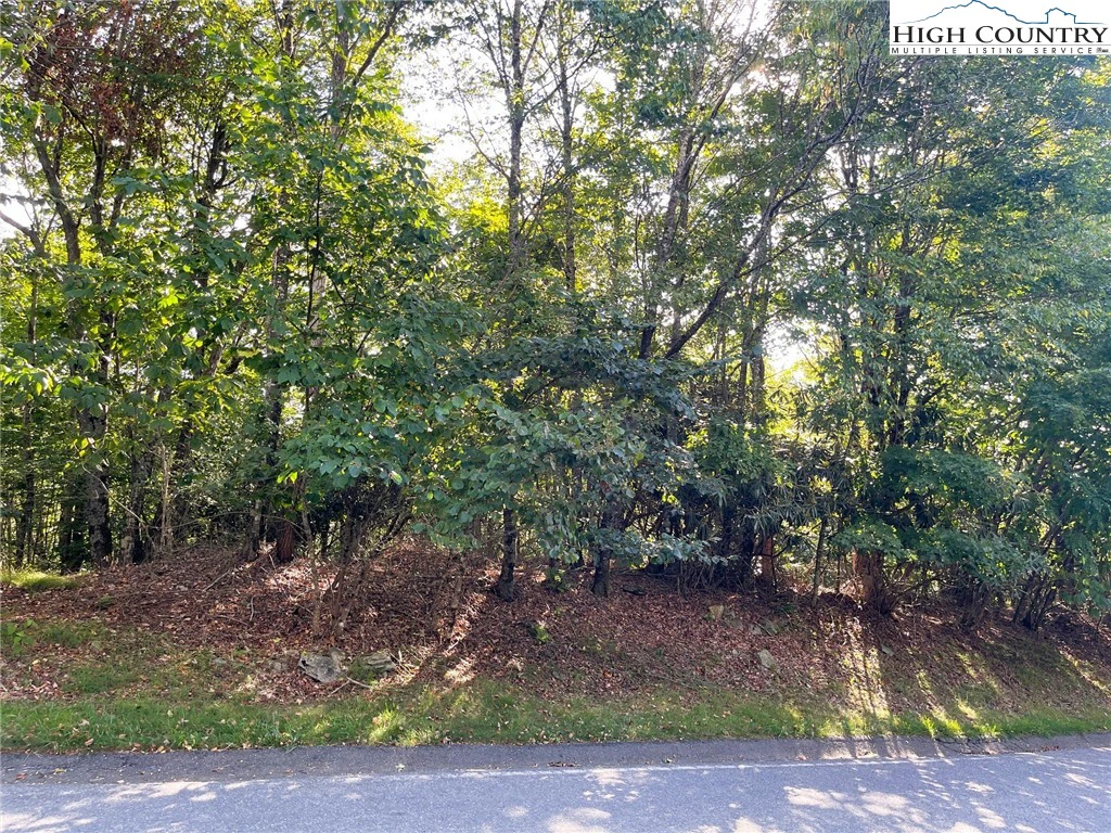 Image number 6 for the current listing