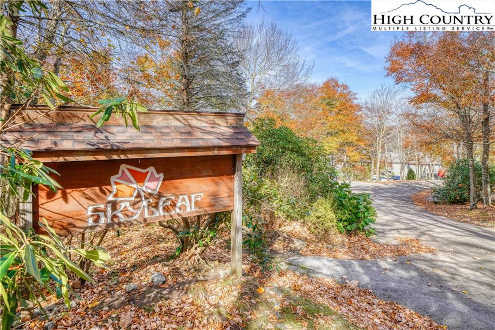 Image number 10 for the current listing