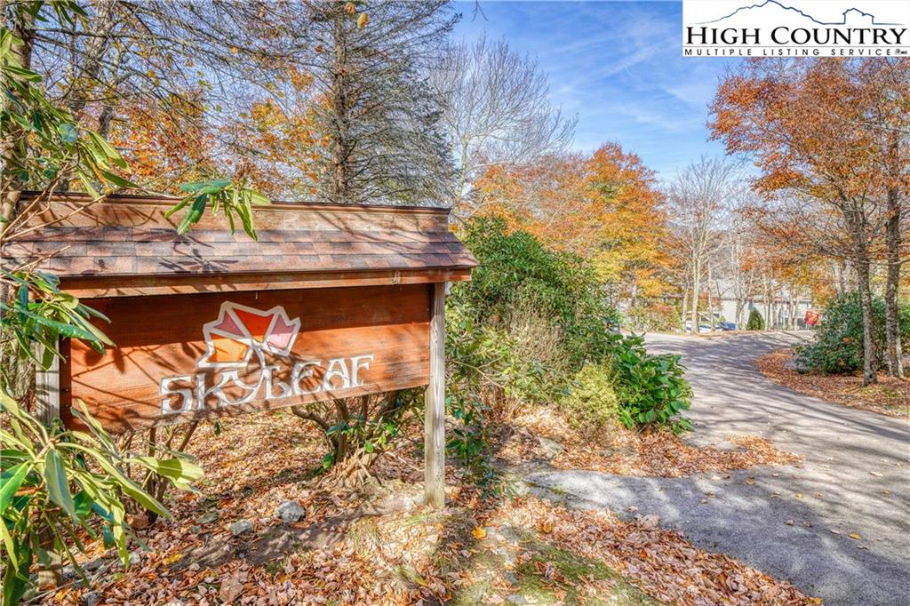 Image number 10 for the current listing