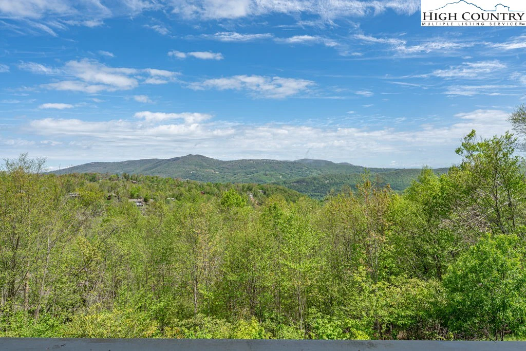 Image number 9 for the current listing