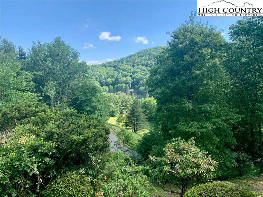 Image number 2 for the current listing