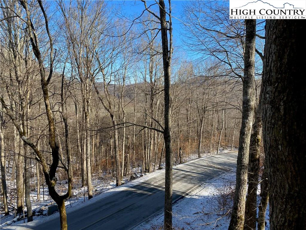 Image number 7 for the current listing