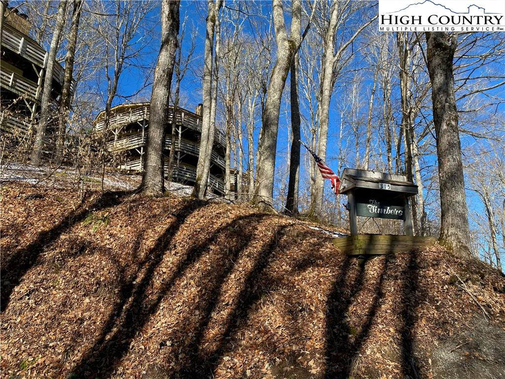 Image number 3 for the current listing