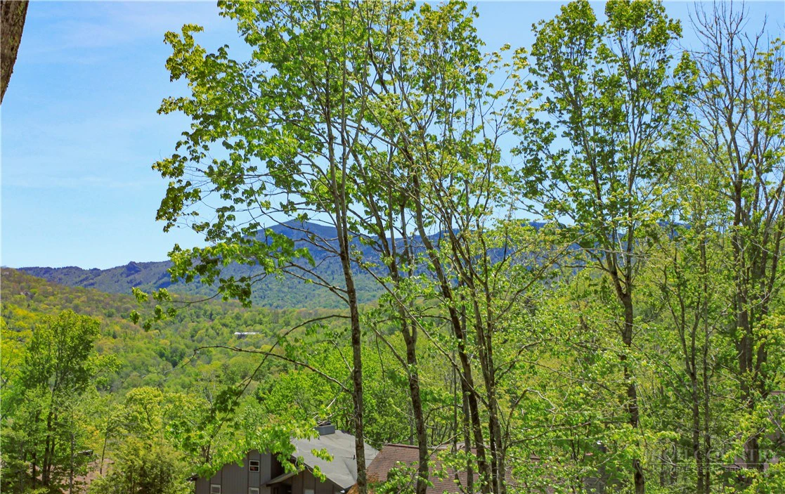 Image number 21 for the current listing