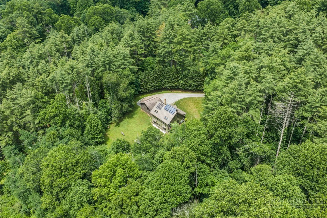 Image number 16 for the current listing