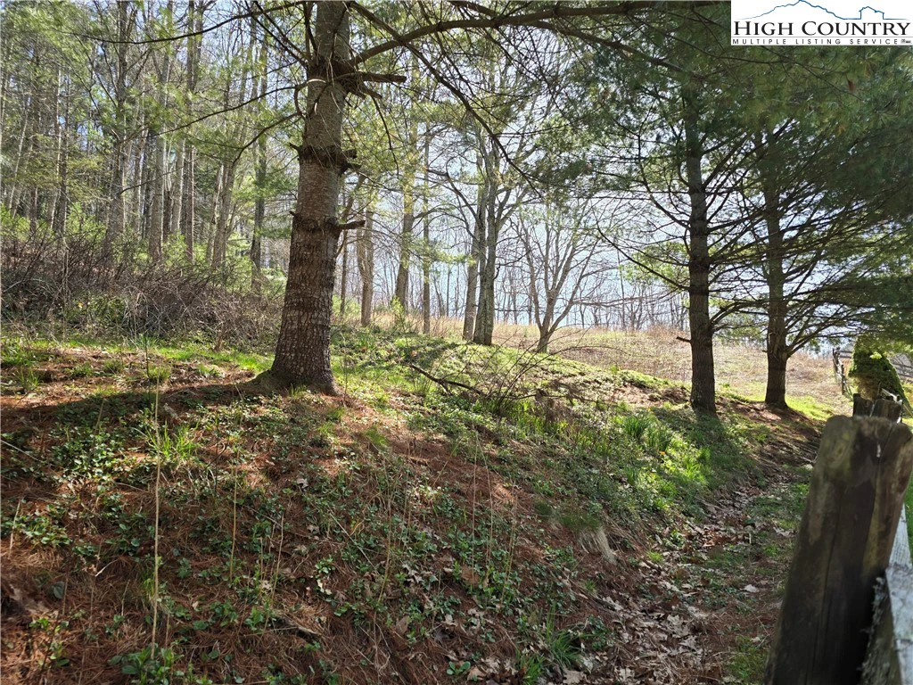 Image number 13 for the current listing