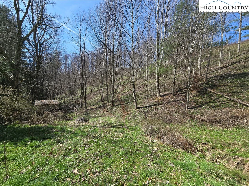 Image number 16 for the current listing