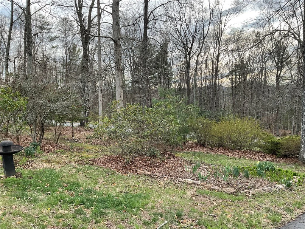 Image number 15 for the current listing