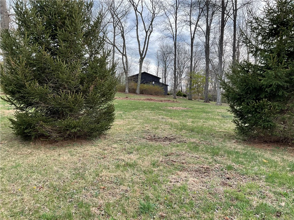 Image number 16 for the current listing