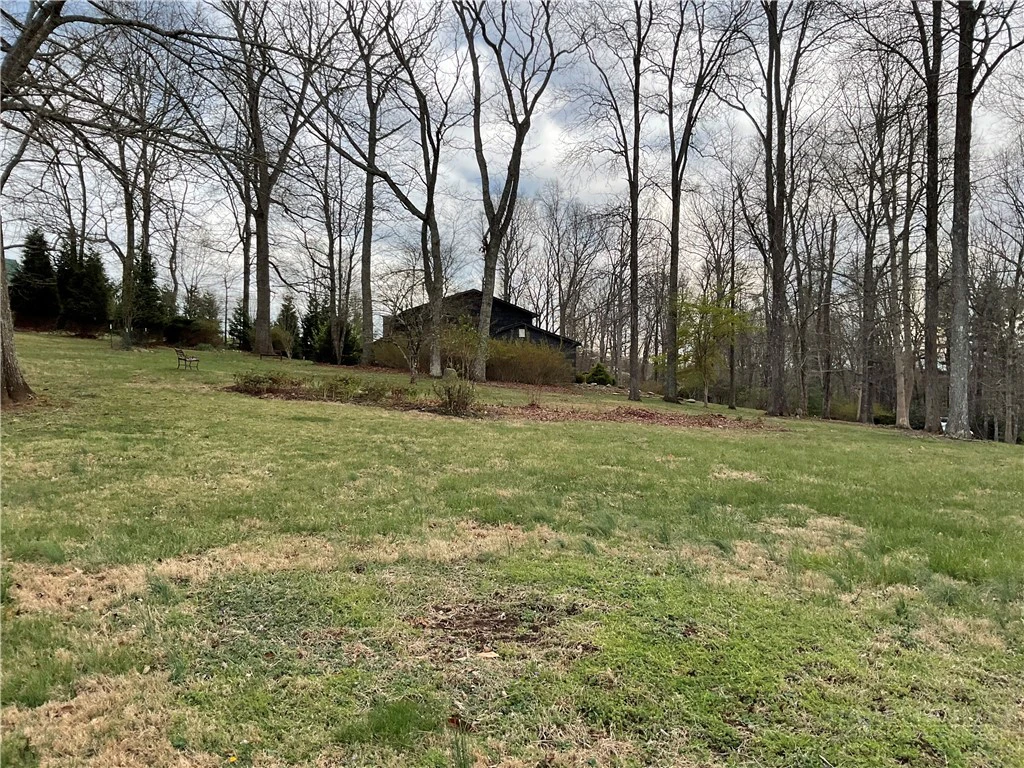 Image number 18 for the current listing