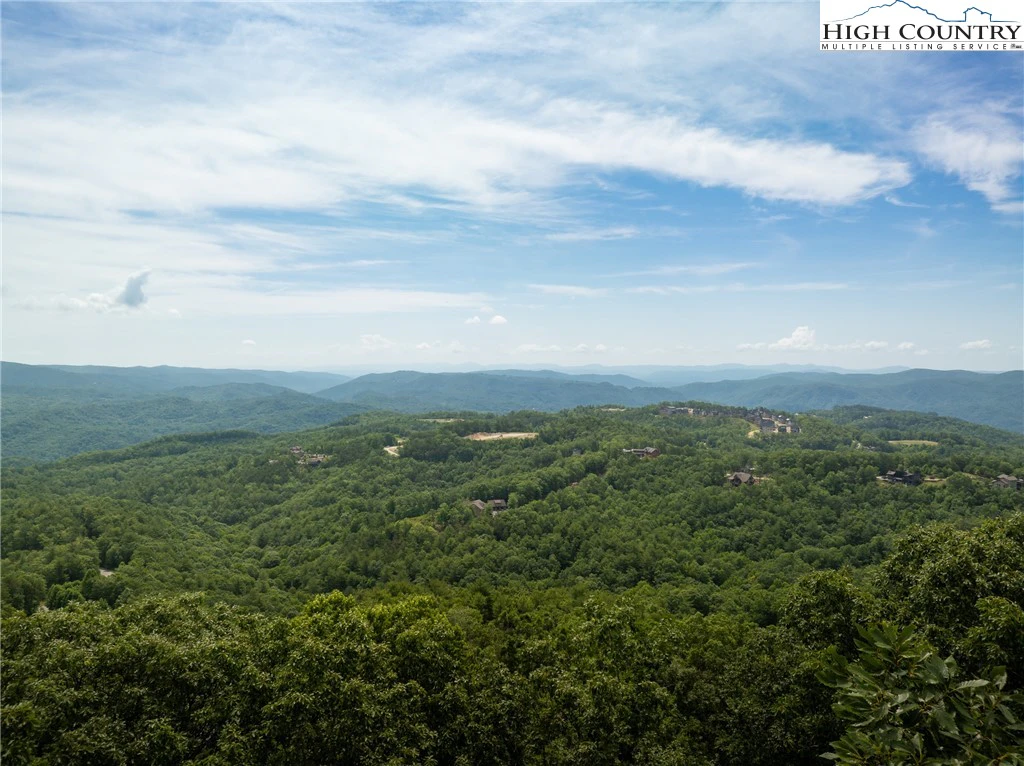 Image number 1 for the current listing