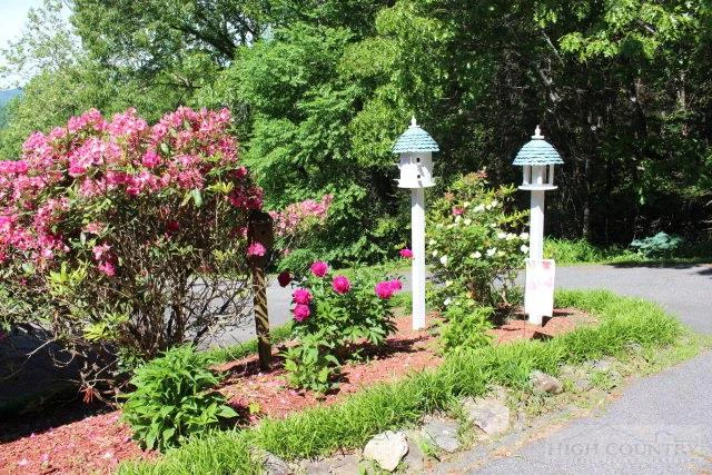 Image number 9 for the current listing