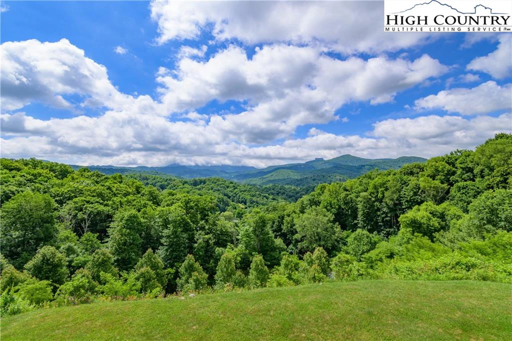 Image number 14 for the current listing