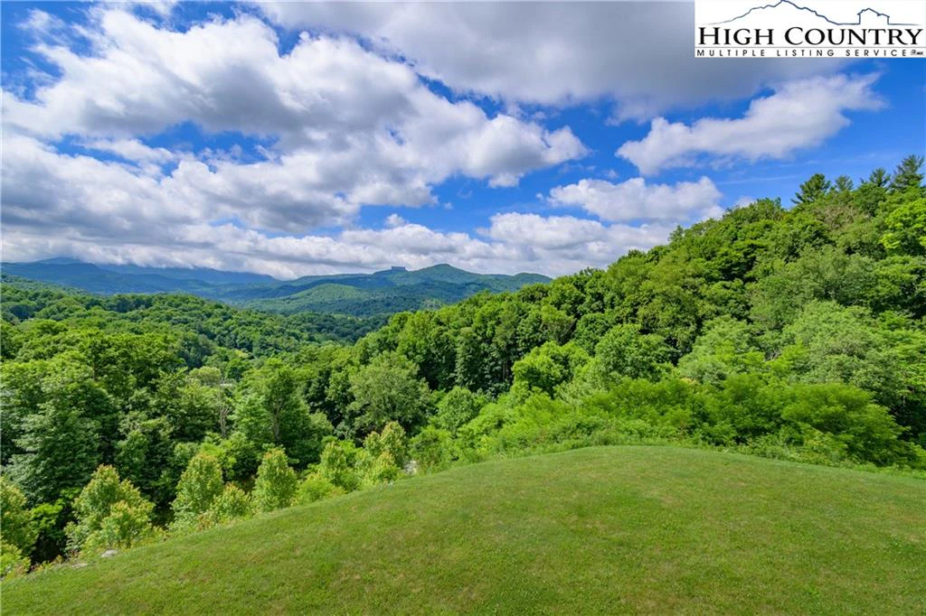 Image number 17 for the current listing