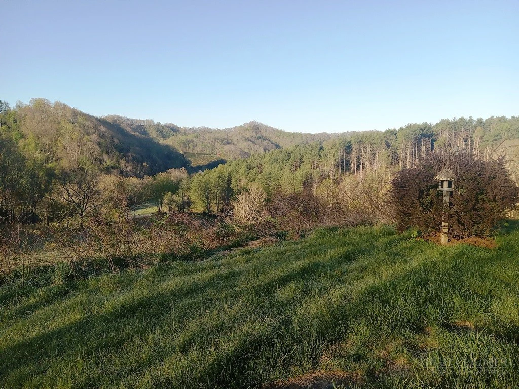 Image number 19 for the current listing