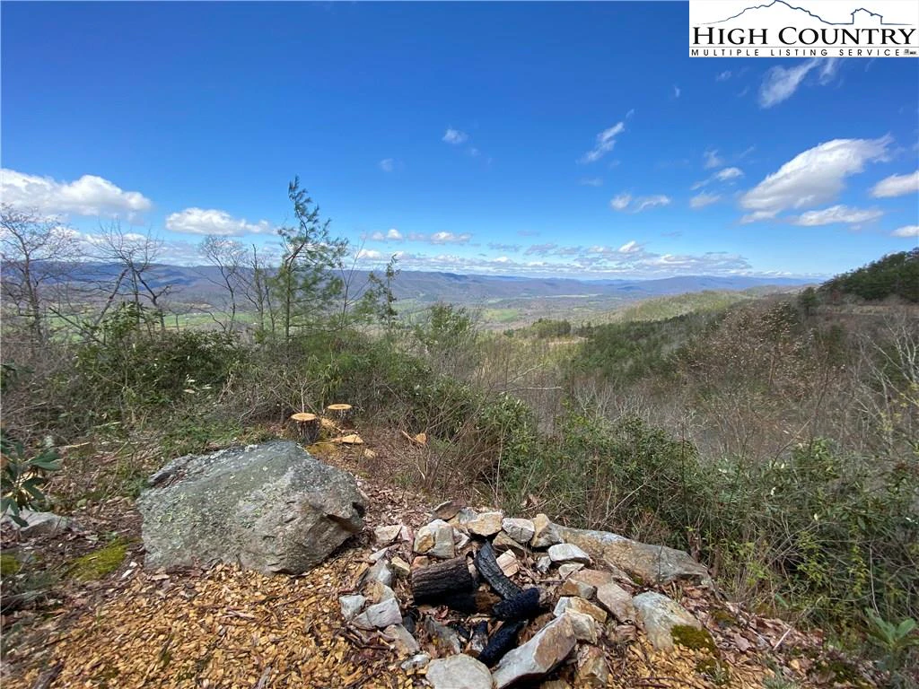 Image number 2 for the current listing