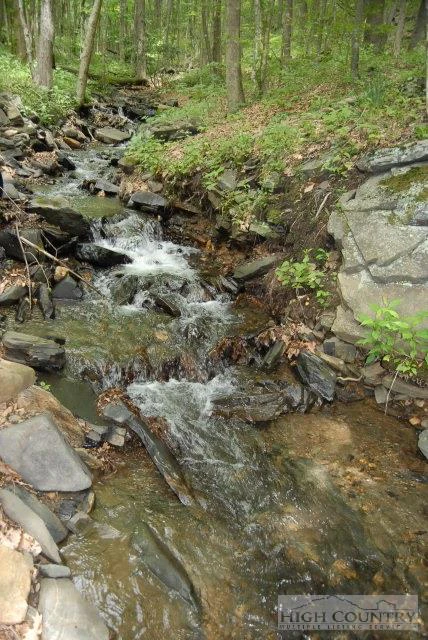 Image number 2 for the current listing