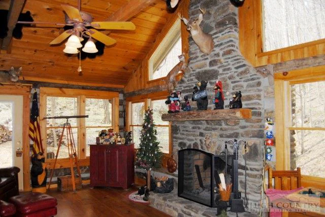 Image number 7 for the current listing