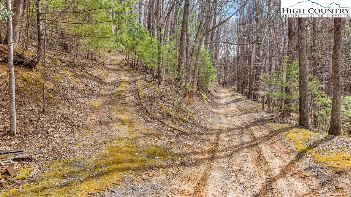 Image number 2 for the current listing