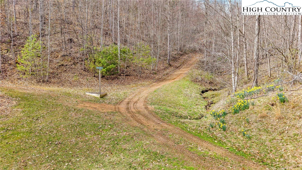 Image number 6 for the current listing