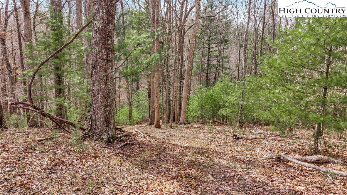 Image number 21 for the current listing